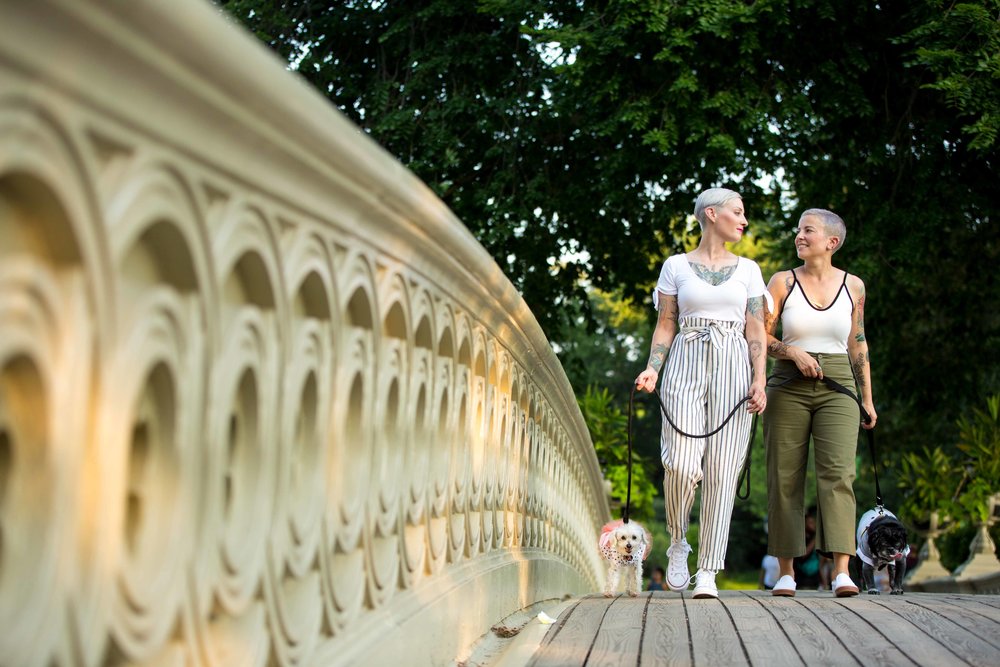 NYC Engagement Photo Session Shoot Central Park Same Sex Lesbian Dog Photographer-3.jpg