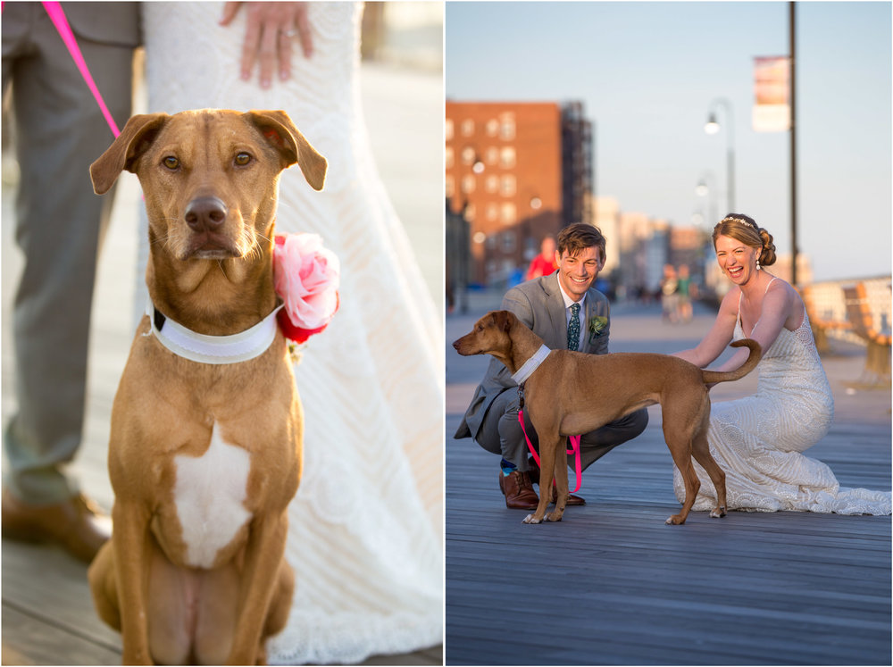 The Loft By Brideview Wedding Long Island NYC Wedding Photographer