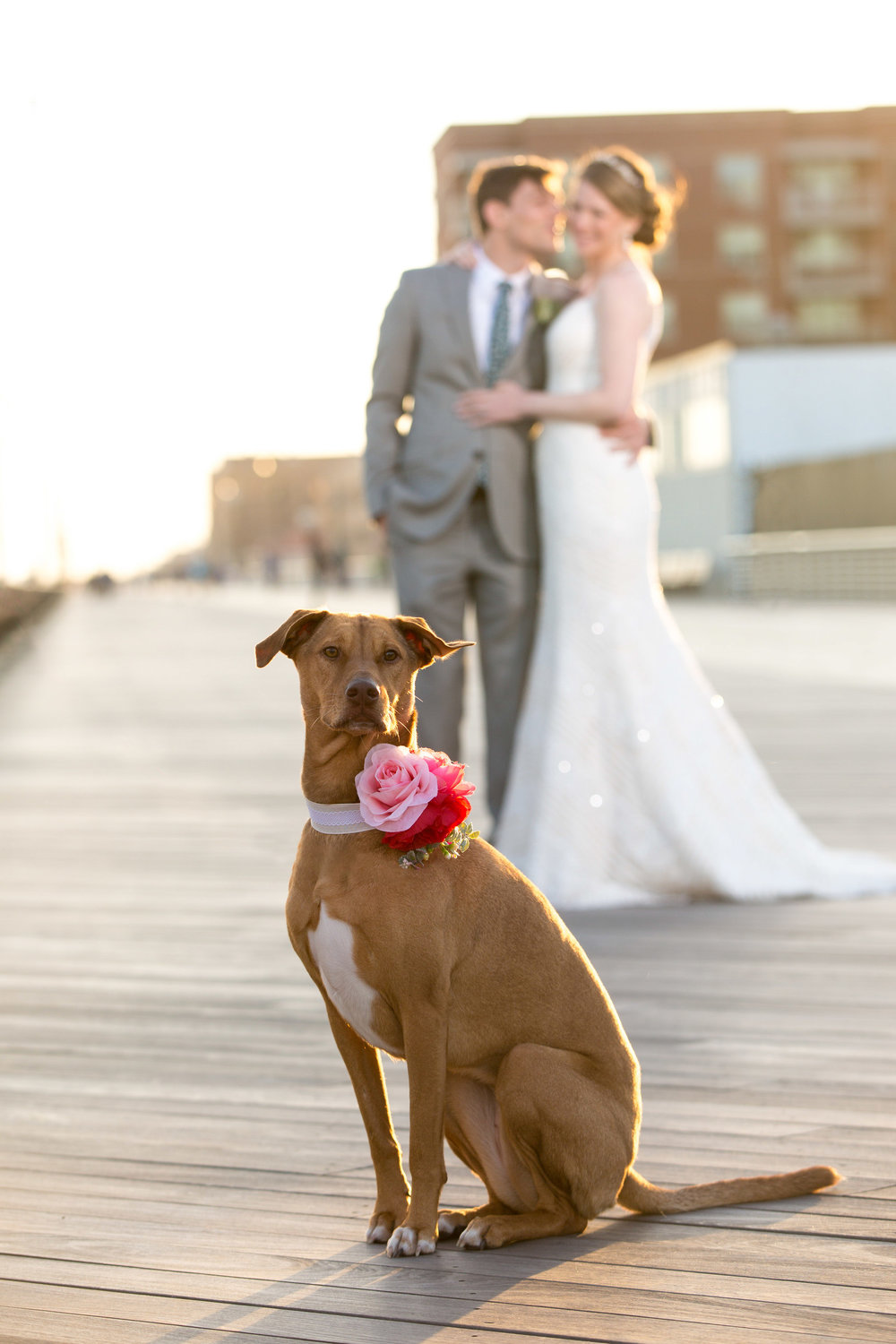 The Loft By Brideview Wedding Long Island NYC Wedding Photographer