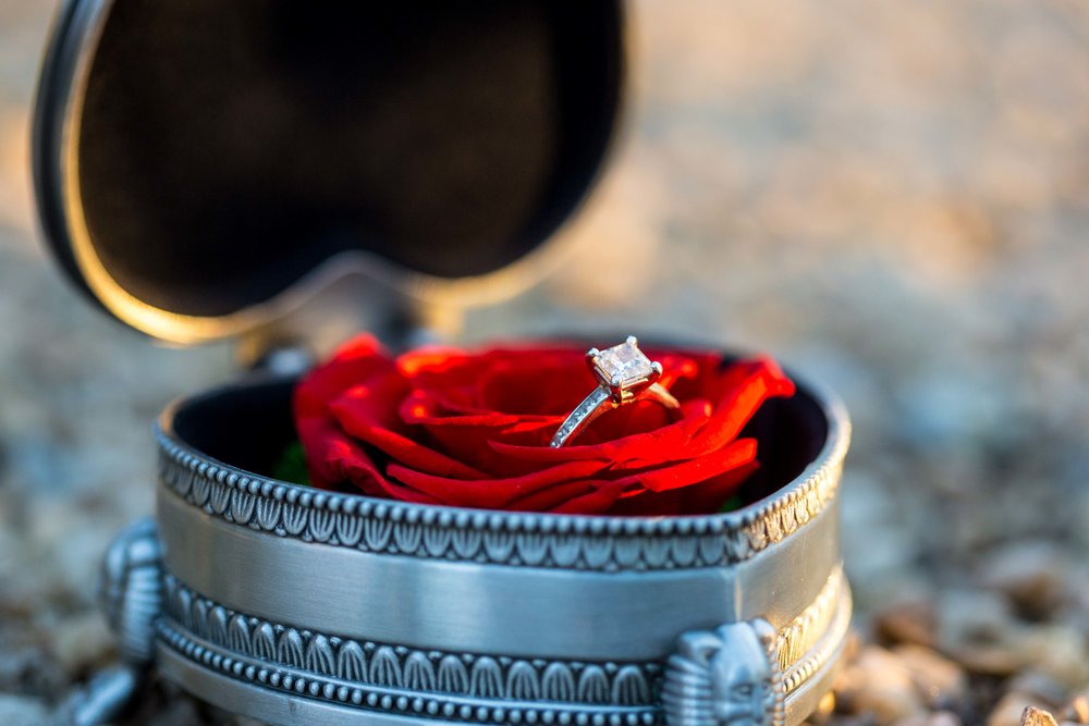 Planting Fields Arboretum Engagement Photo Shoot Session Long Island Oyster Bay NYC Wedding Photographer