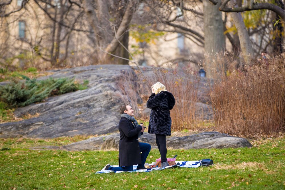 This image has an empty alt attribute; its file name is CentralParkProposalNYCEngagementPhotographerNewYorkPicnic_2.jpg